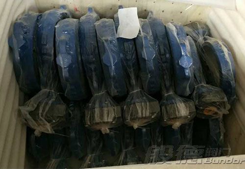 般德渦輪蝶閥、止回閥、過濾器等出口以色列